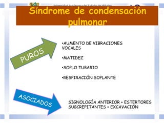 Síndrome de condensación
pulmonar
ASOCIADOS
• AUMENTO DE VIBRACIONES
VOCALES
• MATIDEZ
• SOPLO TUBARIO
• RESPIRACIÓN SOPLANTE
SIGNOLOGÍA ANTERIOR + ESTERTORES
SUBCREPITANTES + EXCAVACIÓN
 