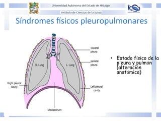 Síndromes	
  Ssicos	
  pleuropulmonares	
  	
  
	
  
	
  
•  Estado físico de la
pleura y pulmón
(alteración
anatómica)	
  	
  
 