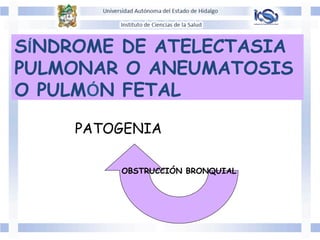 SÍNDROME DE ATELECTASIA
PULMONAR O ANEUMATOSIS
O PULMÓN FETAL
PATOGENIA
OBSTRUCCIÓN BRONQUIAL
 