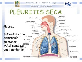 PLEURITIS SECA
Pleuras:
v Ayudan en la
distensión
pulmonar
v Así como su
deslizamiento
 