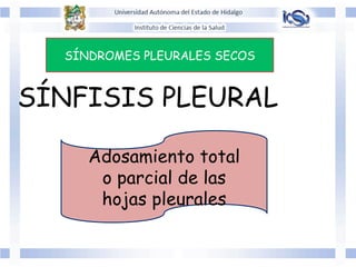 SÍNDROMES PLEURALES SECOS
SÍNFISIS PLEURAL
Adosamiento total
o parcial de las
hojas pleurales
 