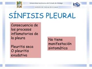 SÍNFISIS PLEURAL
Consecuencia de
los procesos
inflamatorios de
la pleura
Pleuritis seca
O pleuritis
exudativa
No tiene
manifestación
sintomática
 