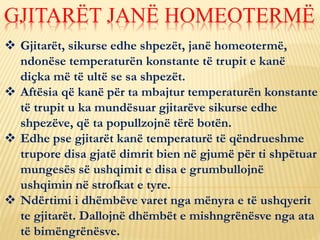  Gjitarët, sikurse edhe shpezët, janë homeotermë,
ndonëse temperaturën konstante të trupit e kanë
diçka më të ultë se sa shpezët.
 Aftësia që kanë për ta mbajtur temperaturën konstante
të trupit u ka mundësuar gjitarëve sikurse edhe
shpezëve, që ta popullzojnë tërë botën.
 Edhe pse gjitarët kanë temperaturë të qëndrueshme
trupore disa gjatë dimrit bien në gjumë për ti shpëtuar
mungesës së ushqimit e disa e grumbullojnë
ushqimin në strofkat e tyre.
 Ndërtimi i dhëmbëve varet nga mënyra e të ushqyerit
te gjitarët. Dallojnë dhëmbët e mishngrënësve nga ata
të bimëngrënësve.
GJITARËT JANË HOMEOTERMË
 