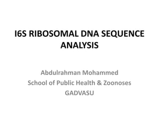 I6S RIBOSOMAL DNA SEQUENCE 
ANALYSIS 
Abdulrahman Mohammed 
School of Public Health & Zoonoses 
GADVASU 
 