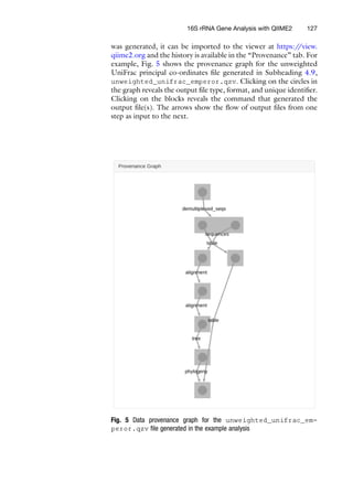 was generated, it can be imported to the viewer at https:/
/view.
qiime2.org and the history is available in the “Provenance” tab. For
example, Fig. 5 shows the provenance graph for the unweighted
UniFrac principal co-ordinates file generated in Subheading 4.9,
unweighted_unifrac_emperor.qzv. Clicking on the circles in
the graph reveals the output file type, format, and unique identifier.
Clicking on the blocks reveals the command that generated the
output file(s). The arrows show the flow of output files from one
step as input to the next.
Fig. 5 Data provenance graph for the unweighted_unifrac_em-
peror.qzv file generated in the example analysis
16S rRNA Gene Analysis with QIIME2 127
 