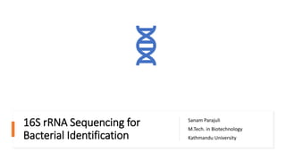16S rRNA Sequencing for
Bacterial Identification
Sanam Parajuli
M.Tech. in Biotechnology
Kathmandu University
 