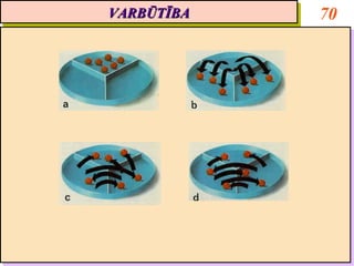 VARBŪTĪBA
VARBŪTĪBA   70
 