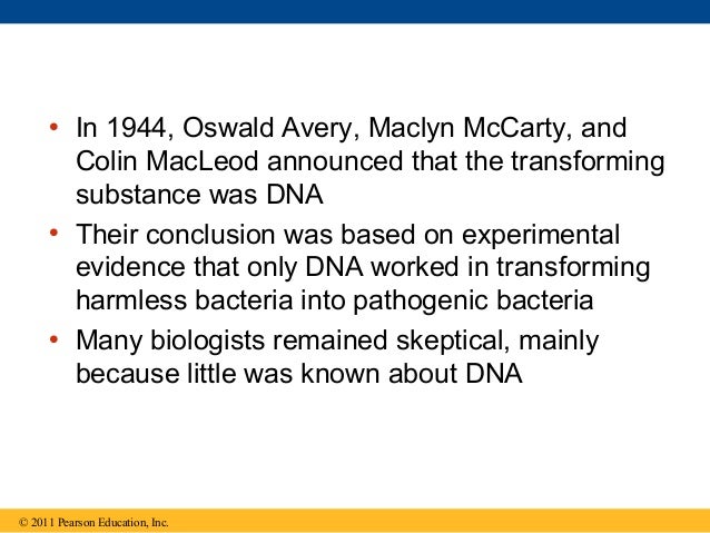 16 the molecular basis of inheritance