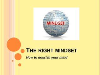 THE RIGHT MINDSET
How to nourish your mind
 