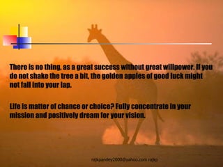 There is no thing, as a great success without great willpower. If you do not shake the tree a bit, the golden apples of good luck might not fall into your lap. Life is matter of chance or choice? Fully concentrate in your mission and positively dream for your vision.  
