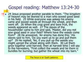 Gospel reading: Matthew 13:24-30
 24 Jesus proposed another parable to them. "The kingdom
of heaven may be likened to a man who sowed good seed
in his field. 25 While everyone was asleep his enemy
came and sowed weeds all through the wheat, and then
went off. 26 When the crop grew and bore fruit, the
weeds appeared as well. 27 The slaves of the
householder came to him and said, 'Master, did you not
sow good seed in your field? Where have the weeds come
from?' 28 He answered, 'An enemy has done this.' His
slaves said to him, 'Do you want us to go and pull them
up?' 29 He replied, 'No, if you pull up the weeds you
might uproot the wheat along with them. 30 Let them
grow together until harvest; then at harvest time I will say
to the harvesters, "First collect the weeds and tie them in
bundles for burning; but gather the wheat into my barn."
The focus is on God’s patience.
 