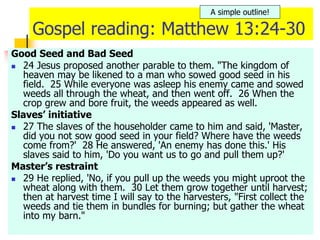 Gospel reading: Matthew 13:24-30
Good Seed and Bad Seed
 24 Jesus proposed another parable to them. "The kingdom of
heaven may be likened to a man who sowed good seed in his
field. 25 While everyone was asleep his enemy came and sowed
weeds all through the wheat, and then went off. 26 When the
crop grew and bore fruit, the weeds appeared as well.
Slaves’ initiative
 27 The slaves of the householder came to him and said, 'Master,
did you not sow good seed in your field? Where have the weeds
come from?' 28 He answered, 'An enemy has done this.' His
slaves said to him, 'Do you want us to go and pull them up?'
Master’s restraint
 29 He replied, 'No, if you pull up the weeds you might uproot the
wheat along with them. 30 Let them grow together until harvest;
then at harvest time I will say to the harvesters, "First collect the
weeds and tie them in bundles for burning; but gather the wheat
into my barn."
A simple outline!
 