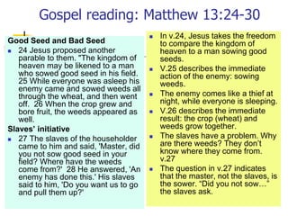Gospel reading: Matthew 13:24-30
Good Seed and Bad Seed
 24 Jesus proposed another
parable to them. "The kingdom of
heaven may be likened to a man
who sowed good seed in his field.
25 While everyone was asleep his
enemy came and sowed weeds all
through the wheat, and then went
off. 26 When the crop grew and
bore fruit, the weeds appeared as
well.
Slaves’ initiative
 27 The slaves of the householder
came to him and said, 'Master, did
you not sow good seed in your
field? Where have the weeds
come from?' 28 He answered, 'An
enemy has done this.' His slaves
said to him, 'Do you want us to go
and pull them up?'
 In v.24, Jesus takes the freedom
to compare the kingdom of
heaven to a man sowing good
seeds.
 V.25 describes the immediate
action of the enemy: sowing
weeds.
 The enemy comes like a thief at
night, while everyone is sleeping.
 V.26 describes the immediate
result: the crop (wheat) and
weeds grow together.
 The slaves have a problem. Why
are there weeds? They don’t
know where they come from.
v.27
 The question in v.27 indicates
that the master, not the slaves, is
the sower. “Did you not sow…”
the slaves ask.
 