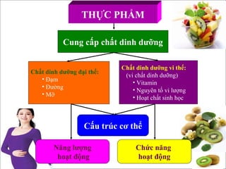www.themegallery.com
THỰC PHẨM
Cung cấp chất dinh dưỡng
Chất dinh dưỡng đại thể:
• Đạm
• Đường
• Mỡ
Chất dinh dưỡng vi thể:
(vi chất dinh dưỡng)
• Vitamin
• Nguyên tố vi lượng
• Hoạt chất sinh học
Cấu trúc cơ thể
Chức năng
hoạt động
Năng lượng
hoạt động
 