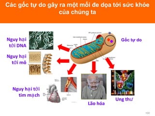 100
Các gốc tự do gây ra một mối đe dọa tới sức khỏe
của chúng ta
Gốc tự doNguy h iạ
t i DNAớ
Nguy h iạ
t i môớ
Nguy h i t iạ ớ
tim m chạ
Lão hóa
Ung thư
 