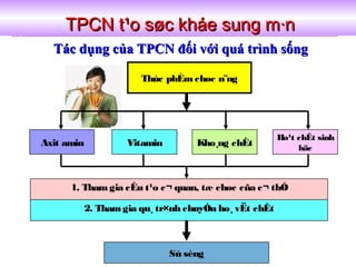 TPCN t¹o søc kháe sung m·nTPCN t¹o søc kháe sung m·n
Tác dụng của TPCN đối với quá trình sốngTác dụng của TPCN đối với quá trình sống
Thùc phÈmchøc n¨ng
Axit amin Kho¸ng chÊtVitamin
1. Thamgia cÊu t¹o c¬ quan, tæ chøc cña c¬ thÓ
Ho¹t chÊt sinh
häc
2. Thamgia qu¸ tr×nh chuyÓn ho¸ vËt chÊt
Sù sèng
 