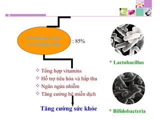  Tổng hợp vitamins
 Hỗ trợ tiêu hóa và hấp thu
 Ngăn ngừa nhiễm
 Tăng cường hệ miễn dịch
* Lactobacillus
* Bifidobacteria
Vi khuẩn có lợi
(Vi khuẩn tốt)
Tăng cường sức khỏe
: 85%
 