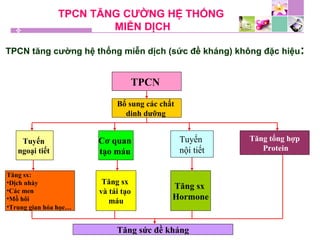 TPCN TĂNG CƯỜNG HỆ THỐNG
MIỄN DỊCH
TPCN tăng cường hệ thống miễn dịch (sức đề kháng) không đặc hiệu:
TPCN
Bổ sung các chất
dinh dưỡng
Tuyến
ngoại tiết
Cơ quan
tạo máu
Tăng sx:
•Dịch nhày
•Các men
•Mồ hôi
•Trung gian hóa học…
Tuyến
nội tiết
Tăng tổng hợp
Protein
Tăng sức đề kháng
Tăng sx
và tái tạo
máu
Tăng sx
Hormone
 