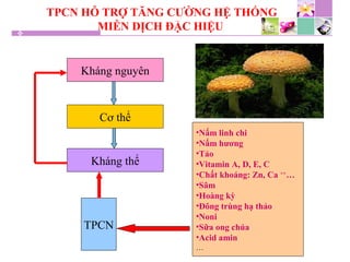 TPCN HỖ TRỢ TĂNG CƯỜNG HỆ THỐNG
MIỄN DỊCH ĐẶC HIỆU
Kháng nguyên
Cơ thể
Kháng thể
TPCN
•Nấm linh chi
•Nấm hương
•Tảo
•Vitamin A, D, E, C
•Chất khoáng: Zn, Ca ++
…
•Sâm
•Hoàng kỳ
•Đông trùng hạ thảo
•Noni
•Sữa ong chúa
•Acid amin
…
 