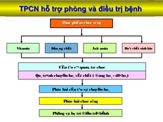 TPCN hỗ trợ phòng và điều trị bệnhTPCN hỗ trợ phòng và điều trị bệnh
Thùc phÈmchøc n¨ngThùc phÈmchøc n¨ng
Vitamin Axit aminKho¸ng chÊt
CÊu t¹o c¬ quan, tæ chøc
Ho¹t chÊt sinh häc
Qu¸ tr×nh chuyÓn ho¸ vËt chÊt ( ®ång ho¸ - dÞho¸)
Phßng vµ hç trî ®iÒu trÞbÖnh
Phôc håi chøc n¨ng
Phôc håi cÊu t¹o vµ chuyÓn ho¸
 