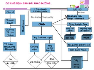 CƠ CHẾ BỆNH SINH ĐÁI THÁO ĐƯỜNG.
Glucid
Glucose
huyết
Glucose
Tế bào
(thiếu)
-TB thiếu
năng lượng
- TB suy kiệt
Đói
Ăn nhiều
1. Thiếu Insulin
2. Kháng Insulin
GAN
Tăng Glucose huyết
Đường
niệu
Tăng
áp lực
thẩm thấu
Mô mỡ
1.Tăng Lipid máu
2.Tăng Cholesterol
Tăng Acetyl - CoA
Toan máu VXĐM
Tăng phân giải Protein
Cân bằng N âm
Tăng thể
Cetonic
Tăng tổng hợp
Cholesterol
Gầy
Nhiễm
trùng
Đái nhiều
Khát
Uống nhiều
Hexokinase
Huy động
Giảm tổng hợp Tăng thoái hóa
 