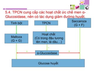 5.4. TPCN cung cấp các hoạt chất ức chế men α-
Glucosidase, nên có tác dụng giảm đường huyết.
Tinh bột TPCN
Saccaroza
(G + F)
Maltoza
(G + G)
Hoạt chất
(Có trong đậu tương
lên men, lá dâu…)
α-Glucosidase
Glucose huyết
+ +
-
 