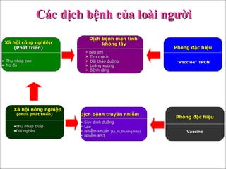 Xã hội công nghiệpXã hội công nghiệp
(Phát triển)(Phát triển)
• Thu nhập caoThu nhập cao
• No đủNo đủ
Dịch bệnh mạn tínhDịch bệnh mạn tính
không lâykhông lây
 Béo phìBéo phì
 Tim mạchTim mạch
 Đái tháo đườngĐái tháo đường
 Loãng xươngLoãng xương
 Bệnh răngBệnh răng
Phòng đặc hiệuPhòng đặc hiệu
““Vaccine” TPCNVaccine” TPCN
Phòng đặc hiệuPhòng đặc hiệu
VaccineVaccine
Dịch bệnh truyền nhiễmDịch bệnh truyền nhiễm
 Suy dinh dưỡngSuy dinh dưỡng
 LaoLao
 Nhiễm khuẩnNhiễm khuẩn (tả, lỵ,thương hàn)(tả, lỵ,thương hàn)
 Nhiễm KSTNhiễm KST
Xã hội nông nghiệpXã hội nông nghiệp
(chưa phát triển)(chưa phát triển)
•Thu nhập thấpThu nhập thấp
•Đói nghèoĐói nghèo
Các dịch bệnh của loài ngườiCác dịch bệnh của loài người
 