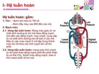I- Hệ tuần hoàn
Hệ tuần hoàn: gồm:
1. Tim : - Bơm hút máu từ TM về.
- Bơm đẩy máu vào ĐM đến các mô.
2. Mạch máu:
2.1. Vòng đại tuần hoàn: Mang máu giàu 02 và
chất dinh dưỡng từ tim trái theo động mạch
chủ đến các động mạch, mao mạch, cung cấp
02 và chất dinh dưỡng cho tế bào ở các mô.
Máu từ các mao mạch ở mô tập trung thành
máu tim rồi theo các tĩnh mạch lớn về tim
phải.
2.2. Vòng tiểu tuần hoàn: mang máu tĩnh mạch
từ tim phải theo động mạch phổi lên phổi nhận
02 và thải C02, thành máu động mạch, theo 4
tĩnh mạch phổi về tim trái.
 