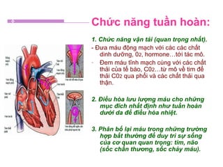 Chức năng tuần hoàn:
1. Chức năng vận tải (quan trọng nhất).
- Đưa máu động mạch với các các chất
dinh dưỡng, 02, hormone…tới tác mô.
- Đem máu tĩnh mạch cùng với các chất
thải của tế bào, C02…từ mô về tim để
thải C02 qua phổi và các chất thải qua
thận.
2. Điều hòa lưu lượng máu cho những
mục đích nhất định như tuần hoàn
dưới da để điều hòa nhiệt.
3. Phân bố lại máu trong những trường
hợp bất thường để duy trì sự sống
của cơ quan quan trọng: tim, não
(sốc chấn thương, sốc chảy máu).
 