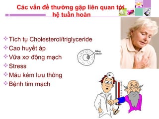 Các vấn đề thường gặp liên quan tới
hệ tuần hoàn
Tích tụ Cholesterol/triglyceride
Cao huyết áp
Vữa xơ động mạch
Stress
Máu kém lưu thông
Bệnh tim mạch
 