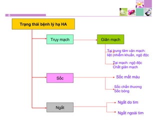 Trạng thái bệnh lý hạ HA
Trụy mạch
Sốc
Ngất
Giãn mạch
Tại trung tâm vận mạch:
liệt (nhiễm khuẩn, ngộ độc
Tại mạch: ngộ độc
Chất giãn mạch
Sốc mất máu
Sốc chấn thương
Sốc bỏng
Ngất do tim
Ngất ngoài tim
 