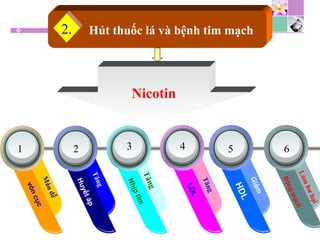 HDL
Giảm
vóncục
Máudễ
Huyếtáp
Tăng
Nhịptim
Tăng
LDL
Tăng
ĐộngmạchLàmhưhại
1 2 3 4 5 6
Nicotin
Hút thuốc lá và bệnh tim mạch2.2.
 