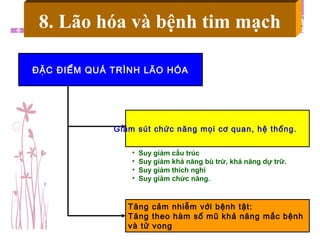 ĐẶC ĐIỂM QUÁ TRÌNH LÃO HÓA
Giảm sút chức năng mọi cơ quan, hệ thống.
Tăng cảm nhiễm với bệnh tật:
Tăng theo hàm số mũ khả năng mắc bệnh
và tử vong
• Suy giảm cấu trúc
• Suy giảm khả năng bù trừ, khả năng dự trữ.
• Suy giảm thích nghi
• Suy giảm chức năng.
8. Lão hóa và bệnh tim mạch
 
