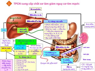 Hemoglobin
Bilirubin tù do
Bilirrubin liªn hîpBilirrubin liªn hîp
Acetyl -CoA
Cholesterol
• Axit mËt
• Muèi mËt
T¸c dông cña mËt
• DÞch mËt kiÒm, cã t¸c
dông trung hoµ dÞch vÞ
• Nhò ho¸ Lipit → hÊp thu
• ↑ hÊp thu vitamin tan
trong dÇu; A, D, E, K
• ↑ nhu ®éng ruét
• Bµi xuÊt chÊt ®éc
Bilirubin tù do
• Urobilinogen
• Stercobilinogen
• Urobilin
• Stercobilin
Ph©n
(vµng da cam)
• TC: 132 g/d
• T­¬ng ®­¬ng
17,9g chÊt x¬ /
Trùc trµng
ruét giµ
ruét non
TPCN: ChÊt
x¬
X¬ hoµ tan
(c¸m)
T¨ng khèi
ph©n
X¬ hoµ tan
(b¾p c¶i)
KÝch thÝch
lªn men do VK
ruét
HÊp thô axit mËt ë
ruét
Ng¾t chu
tr×nh Gan -
Ruét
Ph©n ®µo
th¶i nhanh
→ c¶i thiÖn
chuyÓn ho¸
L, P
T¸c dông cña x¬
• Chèng t¸o bãn
• Chèng viªm §T, trùc trµng
• Chèng trÜ
• ↓ K trùc trµng
• ↓ sái mËt
• ↓ suy m¹ch vµnh
Gi¶m
N­íc tiÓu
(vµng cam)
T¸i hÊp thu mËt phÇn lín
Enzym VK yÕm khÝ
TPCN cung cấp chất xơ làm giảm nguy cơ tim mạch:3.
 