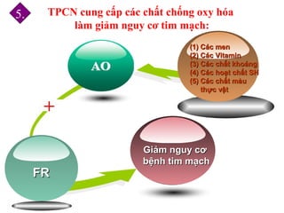 (1)(1) Các menCác men
(2)(2) Các VitaminCác Vitamin
(3)(3) Các chất khoángCác chất khoáng
(4)(4) Các hoạt chất SHCác hoạt chất SH
(5)(5) Các chất màuCác chất màu
thực vậtthực vật
Giảm nguy cơGiảm nguy cơ
bệnh tim mạchbệnh tim mạch
FRFR
TPCN cung cấp các chất chống oxy hóa
làm giảm nguy cơ tim mạch:
5.
 