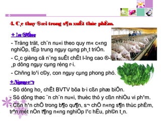 +¦u®iÓm:+¦u®iÓm:
- Trång trät, ch¨n nu«i theo quy m« c«ng- Trång trät, ch¨n nu«i theo quy m« c«ng
nghiÖp, tËp trung ngµy cµng ph¸t triÓn.nghiÖp, tËp trung ngµy cµng ph¸t triÓn.
- C¸c gièng cã n¨ng suÊt chÊt l­îng cao ®­îc- C¸c gièng cã n¨ng suÊt chÊt l­îng cao ®­îc
¸p dông ngµy cµng réng r·i.¸p dông ngµy cµng réng r·i.
- Chñng lo¹i c©y, con ngµy cµng phong phó.- Chñng lo¹i c©y, con ngµy cµng phong phó.
4. C¸c thay ®æi trong s¶n xuÊt thùc phÈm.4. C¸c thay ®æi trong s¶n xuÊt thùc phÈm.
+Nguyc¬:+Nguyc¬:
- Sö dông ho¸ chÊt BVTV bõa b·i cßn phæ biÕn.- Sö dông ho¸ chÊt BVTV bõa b·i cßn phæ biÕn.
- Sö dông thøc ¨n ch¨n nu«i, thuèc thó y cßn nhiÒu vi ph¹m.- Sö dông thøc ¨n ch¨n nu«i, thuèc thó y cßn nhiÒu vi ph¹m.
- Cßn h¹n chÕ trong b¶o qu¶n, s¬ chÕ n«ng s¶n thùc phÈm,- Cßn h¹n chÕ trong b¶o qu¶n, s¬ chÕ n«ng s¶n thùc phÈm,
trªn mét nÒn t¶ng n«ng nghiÖp l¹c hËu, ph©n t¸n.trªn mét nÒn t¶ng n«ng nghiÖp l¹c hËu, ph©n t¸n.
 
