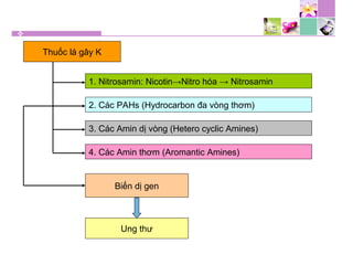 Thuốc lá gây K
1. Nitrosamin: Nicotin→Nitro hóa → Nitrosamin
2. Các PAHs (Hydrocarbon đa vòng thơm)
3. Các Amin dị vòng (Hetero cyclic Amines)
4. Các Amin thơm (Aromantic Amines)
Biến dị gen
Ung thư
 