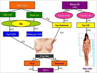 Ánh sángÁnh sáng Bóng tốiBóng tối
(ngủ)(ngủ)
Mặt trờiMặt trời Nhân tạoNhân tạo Tuyến tùngTuyến tùng Tuyến yênTuyến yên
Tạo MelatoninTạo Melatonin Tạo GHTạo GH
DaDa
Tạo Vit.DTạo Vit.D Không tạo Vit.DKhông tạo Vit.D
Ung thưUng thư
Vit.DVit.D MelatoninMelatonin
TPCNTPCN
Phát triểnPhát triển
(lớn)(lớn)
(+)(+)
(+)(+) (+)(+)
(+)(+)(+)(+)
(+)(+) (+)(+)
(-)(-)
(-)(-)
(-)(-)
(-)(-) (-)(-)
(+)(+) (+)(+)
(-)(-)
 