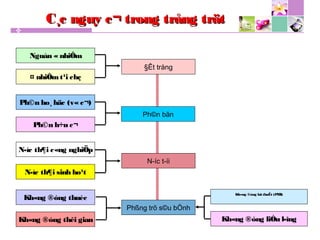 C¸c nguy c¬ trong trång trätC¸c nguy c¬ trong trång trät
Nguån «nhiÔm
¤ nhiÔmt¹i chç
§Êt trång
Ph©n h÷u c¬
Ph©n ho¸ häc (v«c¬)
Ph©n bãn
N­íc t­íi
N­íc th¶i sinh ho¹t
N­íc th¶i c«ng nghiÖp
Kh«ng ®óng thuèc
Kh«ng ®óng thêi gian
Phßng trõ s©u bÖnh
Kh«ng ®óng kü thuËt (PHI)
Kh«ng ®óng liÒu l­îng
 