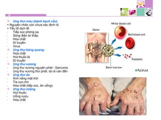  Ung thư máu (bệnh bạch cầu)
+ Nguyên nhân còn chưa xác định rõ.
+ Yếu tố dịch tễ:
- Tiếp xúc phóng xạ
- Sóng điện từ thấp.
- Hóa chất
- Di truyền
- Virus
 Ung thư bàng quang:
- Hóa chất
- Hút thuốc lá
- Di truyền
 Ung thư xương
- Ung thư xương nguyên phát : Sarcoma
- Ung thư xương thứ phát: do di căn đến
 Ung thư da
- Ánh nắng mặt trời
- Tia cực tím
- Hóa chất (tiếp xúc, ăn uống)
 Ung thư miệng
- Hút thuốc
- Uống rượu
- Hóa chất
 