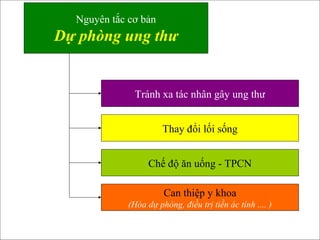 Nguyên tắc cơ bản
Dự phòng ung thư
Tránh xa tác nhân gây ung thư
Thay đổi lối sống
Chế độ ăn uống - TPCN
Can thiệp y khoa
(Hóa dự phòng, điều trị tiền ác tính .... )
 
