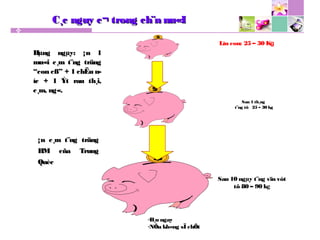 C¸c nguy c¬ trong ch¨n nu«IC¸c nguy c¬ trong ch¨n nu«I
Lîn con: 25 – 30 Kg
Sau 1 th¸ng
t¨ng tõ 25 – 30 kg
Hµng ngµy: ¡n 1Hµng ngµy: ¡n 1
mu«i c¸m t¨ng trängmu«i c¸m t¨ng träng
“con cß” + 1 chËu n­“con cß” + 1 chËu n­
íc + 1 Ýt rau th¸i,íc + 1 Ýt rau th¸i,
c¸m, ng«.c¸m, ng«.
-B¸n ngay
-NÕu kh«ng sÏ chÕt
Sau 10 ngµy t¨ng vïn vôt
tõ 80 – 90 kg
¡n c¸m t¨ng träng¡n c¸m t¨ng träng
HM cña TrungHM cña Trung
QuècQuèc
 