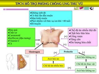 Ung thư vú
•Không sinh đẻ
•Có thai lần đầu muộn
•Mạn kinh muộn
•Phơi nhiễm với bức xạ ion khi >40 tuổi
•Di truyền
Oestrogen Prolactin
Axit béo no
Axit béo không no
Chế độ ăn nhiều béo
Chế độ ăn thực vật
Axit béo không no
•Rau quả
•Chất xơ
•Carotenoid
•Isoflavon (đậu tương)
•Vitamin C
•Cá
•Chế độ ăn nhiều thịt đỏ
•Chất béo bão hòa
•Uống rượu
•Tăng cân
•Dư lượng hóa chất
(+)
(+)
(+)
(+)
(+)
(-)
(-)
TPCN HỖ TRỢ PHÒNG CHỐNG UNG THƯ VÚTPCN HỖ TRỢ PHÒNG CHỐNG UNG THƯ VÚ
 
