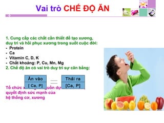 Vai trò CHẾ ĐỘ ĂN
1. Cung cấp các chất cần thiết để tạo xương,
duy trì và hồi phục xương trong suốt cuộc đời:
- Protein
- Ca
- Vitamin C, D, K
- Chất khoáng: P, Cu, Mn, Mg
2. Chế độ ăn có vai trò duy trì sự cân bằng:
Tổ chức xương là nguồn dự trữ Ca và P,
quyết định sức mạnh của
hệ thống cơ, xương
Ăn vào
[ Ca, P]
Thải ra
[Ca, P]
 