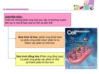 CHUYỂN HÓA:
Toàn bộ những phản ứng hóa học xảy ra thường xuyên
liên tục ở mọi tế bào của cơ thể và dịch thể
Quá trình dị hóa: (phản ứng thoái hóa)
Là phản ứng phân chia1 phân tử ra
thành các phân tử nhỏ hơn.
Quá trình đồng hóa (Phản ứng tổng hợp):
Là phản ứng ghép các phân tử nhỏ
lại thành phân tử lớn hơn
 