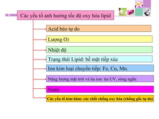 Các yếu tố ảnh hưởng tốc độ oxy hóa lipid
Acid béo tự do
Lượng O2
Nhiệt độ
Nước
Năng lượng mặt trời và tia ion: tia UV, sóng ngắn.
Trạng thái Lipid: bề mặt tiếp xúc
Ion kim loại chuyển tiếp: Fe, Cu, Mn.
Các yếu tố kìm hãm: các chất chống oxy hóa (chống gốc tự do)
 