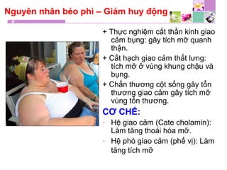 Nguyên nhân béo phì – Giảm huy động
+ Thực nghiệm cắt thần kinh giao
cảm bụng: gây tích mỡ quanh
thận.
+ Cắt hạch giao cảm thắt lưng:
tích mỡ ở vùng khung chậu và
bụng.
+ Chấn thương cột sống gây tổn
thương giao cảm gây tích mỡ
vùng tổn thương.
CƠ CHẾ:
- Hệ giao cảm (Cate cholamin):
Làm tăng thoái hóa mỡ.
- Hệ phó giao cảm (phế vị): Làm
tăng tích mỡ
 