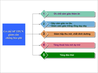 Ức chế cảm giác thèm ăn1
• Gây cảm giác no lâu
• Giảm cảm giác trống rỗng dạy dày
2
Giảm hấp thu mỡ, chất dinh dưỡng3
Tăng thoái hóa mỡ dự trữ4
Tăng đào thải5
Cơ chế SP TPCNCơ chế SP TPCN
giảm cângiảm cân
chống béo phìchống béo phì
 