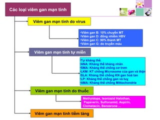 Các loại viêm gan mạn tính
Viêm gan mạn tính do virus
•Viêm gan B: 10% chuyển MT
•Viêm gan D: đồng nhiễm HBV
•Viêm gan C: 90% thành MT
•Viêm gan G: do truyền máu
Viêm gan mạn tính tự miễn
•Tự kháng thể.
•ANA: Kháng thể kháng nhân
•SMA: Kháng thể chống cơ trơn
•LKM: KT chống Microsome của gan và thận
•SLA: Kháng thể chống KN gan hoà tan
•LP: Kháng thể chống gan và tuỵ
•AMA: Kháng thể chống Mittochondrie
Viêm gan mạn tính do thuốc
Methyldopa, Isoniazid Halothan,
Papaverin, Sulfonamid, Aspirin,
Clometacin, Benzarone ...
Viêm gan mạn tính tiềm tàng
 
