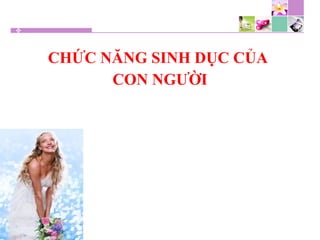 CHỨC NĂNG SINH DỤC CỦA
CON NGƯỜI
 